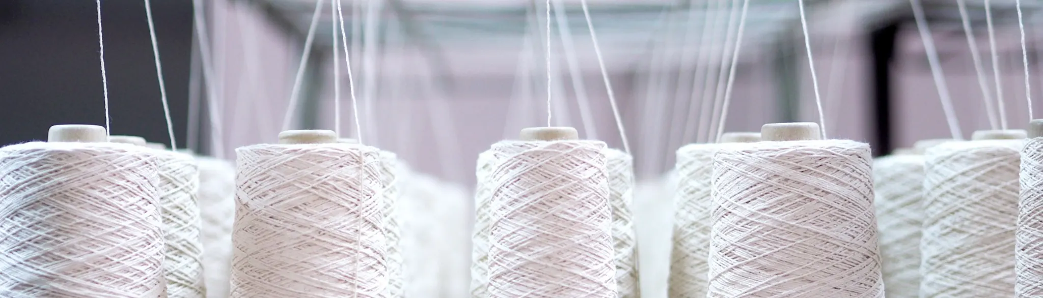 Labels et engagements - Standard Textile 