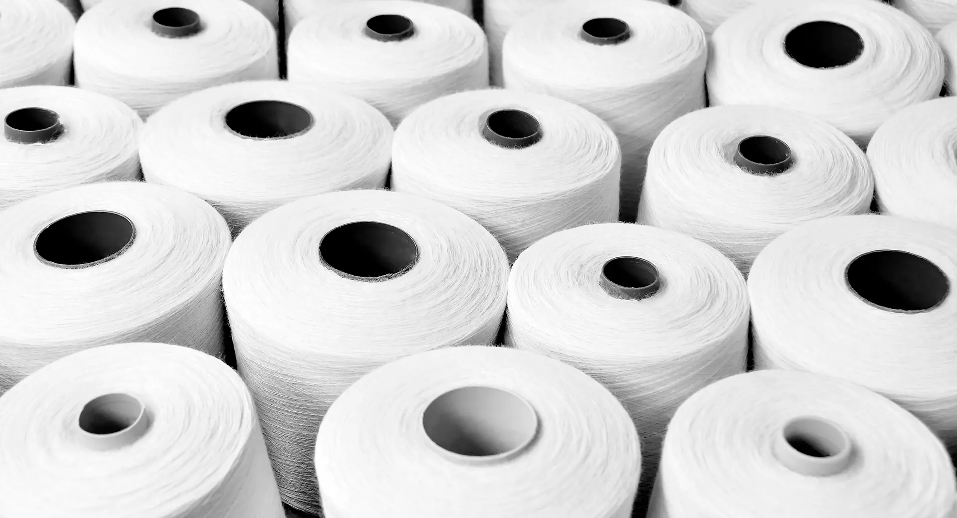 innovations standard textile