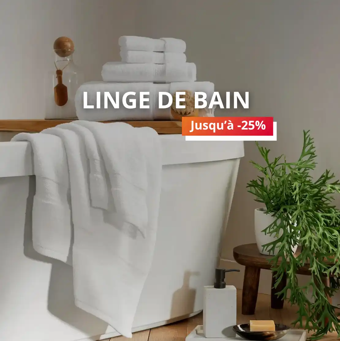 Offre été 2