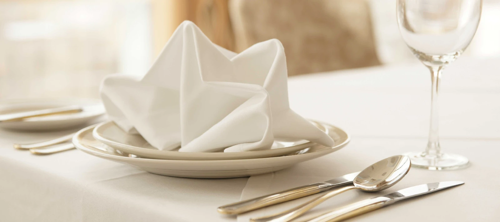 linge de table professionnel