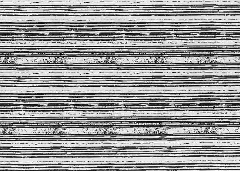 Housse de coussin Évasion - Kenya